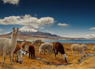 Parques Nacionales de Chile