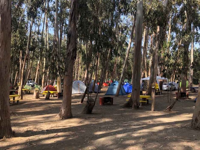 Camping de Pichidangui